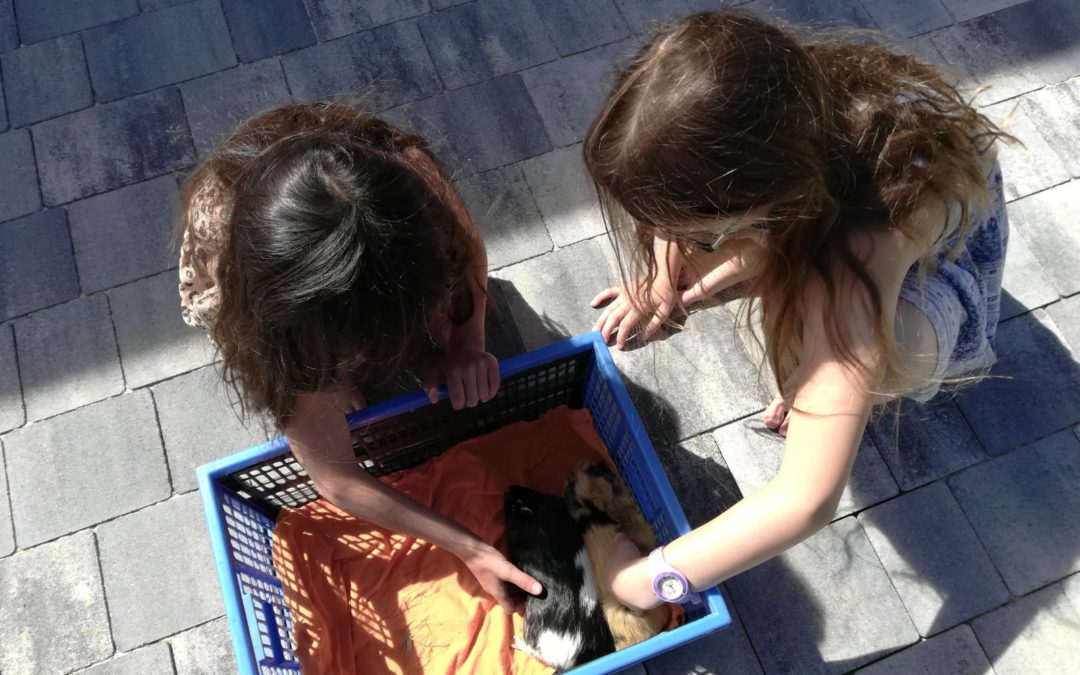 Präsenz Fachtag „The kids go crazy: Auffälliges Verhalten besser verstehen“ am 26.04.2023
