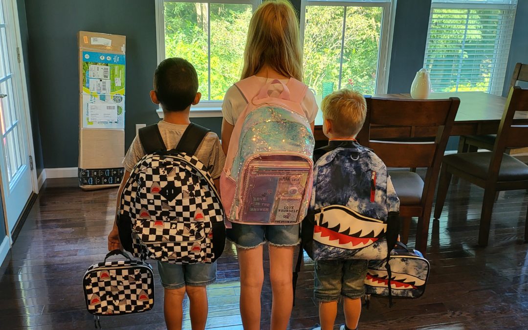 Online Fachtag „Umgang mit selbst- oder fremdgefährdendem Verhalten bei Kindern und Jugendlichen“ am 13.06.2023